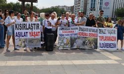 Hayvanseverler Diyarbakır’dan seslendi: Geri çek!