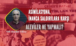 Veli Haydar Güleç: Alevi kurumsallaşmasının bir yol haritası olmalı