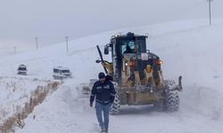 Van'da etkili olan kar yolları kapandı