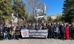 Amed Emek ve Demokrasi Platformu Halepçe Katliamı'nı kınadı