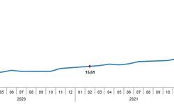 TÜİK: Yıllık enflasyon yüzde 54,44