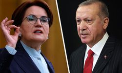 Akşener'den Erdoğan'a: Milletimiz bugün tane ile domates alıyor