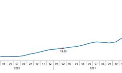 TÜİK: Tarım girdileri yüzde 80,99 arttı