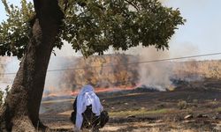 Diyarbakır’daki ekoloji buluşmasının sonuç bildirgesi açıklandı