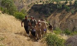 Bitlis Tatvan’da erkek cesedi bulundu