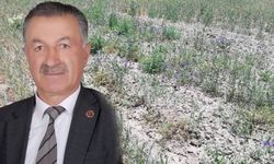 Erzurum'da belediye meclis üyesi arazi kavgasında öldürüldü