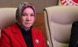 AK Partili Nergis: İşverenler 'Suriyeliler olmasaydı çalıştıracak eleman bulamazdık' diyor