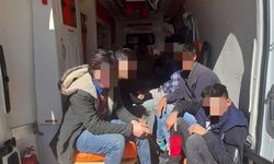 Ağrı'da ambulansta 12 kaçak göçmen yakalandı