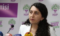 HDP’li Günay: Kürt bir kadın, sırf saçları görünüyor diye katledildi