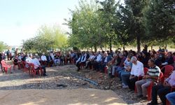 Yeşil Sol Parti Eş Sözcülüğü'ne Uçar ve Akın seçildi