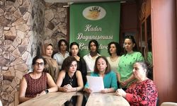 Mersin’de 9 ayda 7 kadın katledildi