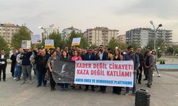 Amed Emek ve Demokrasi Platformu: Amasra’da yaşanan kader değil iş cinayetidir