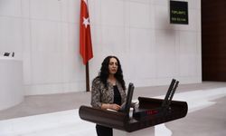 Üniversite öğrencilerinin barınma sorunu Meclis gündeminde