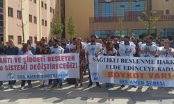 SES Diyarbakır'dan bir kez daha seslendi: Mücadelemiz devam edecek