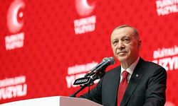 Selvi: Erdoğan bizi şaşırtmaya devam edecek