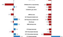 TÜİK: İmalat sektörü yüze 1,6 azaldı
