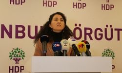 HDP Sözcüsü Günay: AYM bu siyasi baskılara göre karar vermiştir