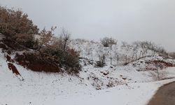 Meteorolojiden Diyarbakır için 20 santimlik kar yağışı uyarısı