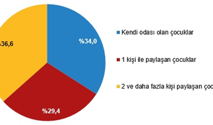 Türkiye Çocuk Araştırması verileri açıklandı