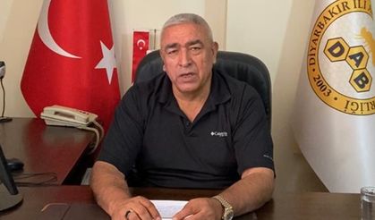Diyarbakır Arı Yetiştiricileri Birliği Başkanı Saylak: Glikoz balı arıcıların belini büktü