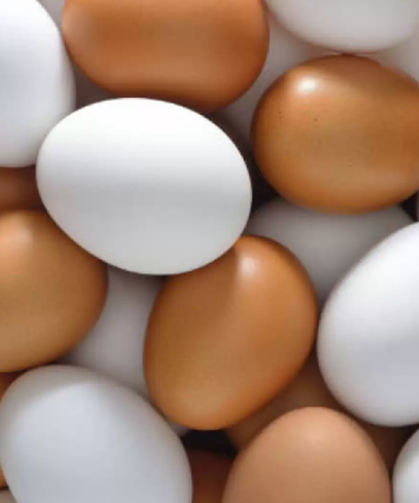 Kullanım ömrü geçmiş yumurtalar halk sağlığını tehdit ediyor