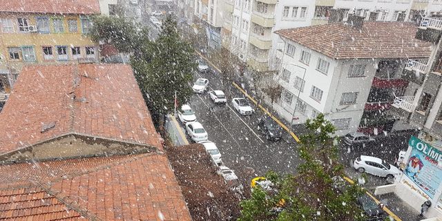 Diyarbakır'da mart sonu lapa lapa kar yağdı