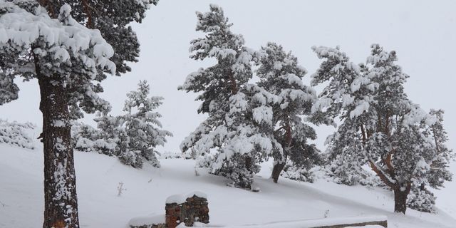 Erzurum’a 40 santimetre kar yağdı