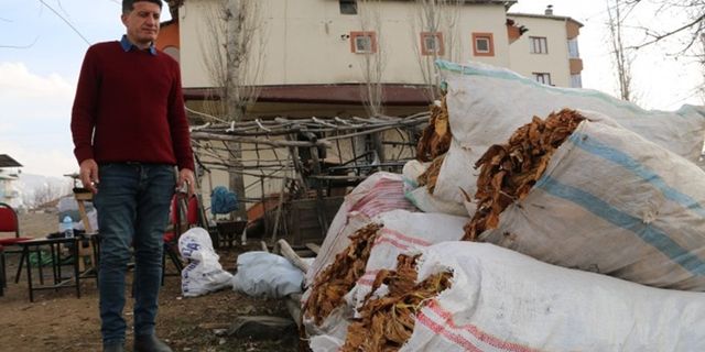 Doğanşehir’deki tütün üreticileri yasal düzenleme istiyor