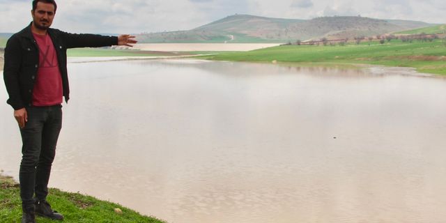 Kuruyan gölette buğday ekti, ekini sel bastı