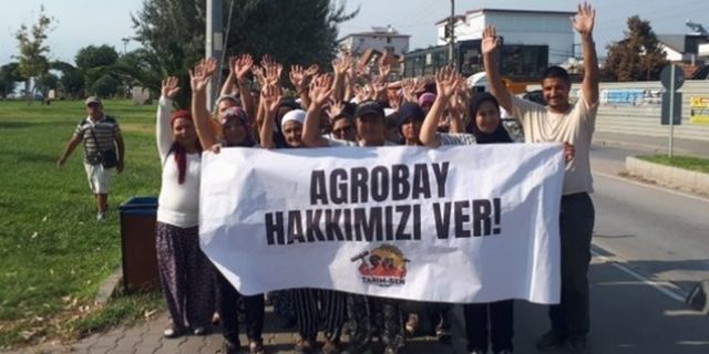 Agrobay işçileri: Haklarımızı alana kadar direneceğiz
