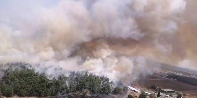 İzmir'de orman yangını