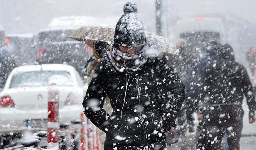 Bitlis'te kar tatili