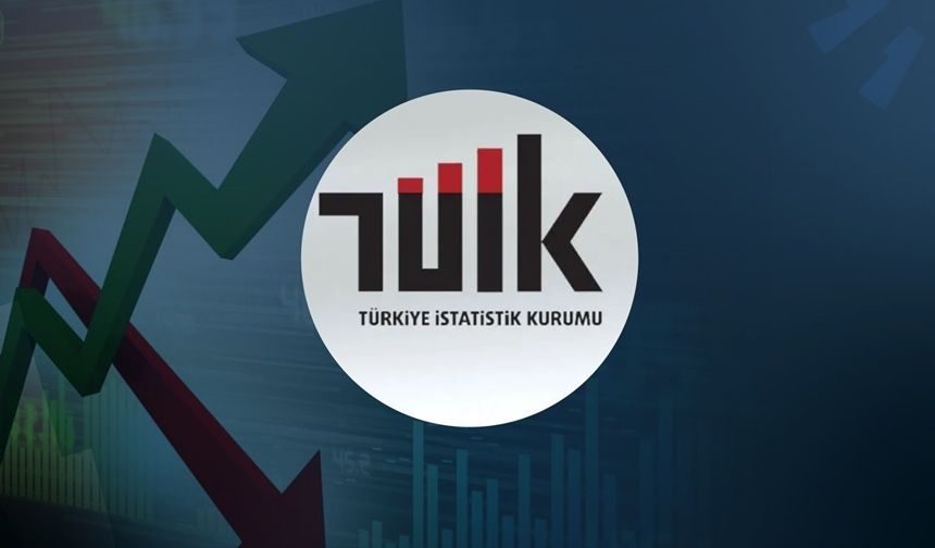 TÜİK: DİBS yüzde 53 oranlarında yatırımcısına kaybettirdi