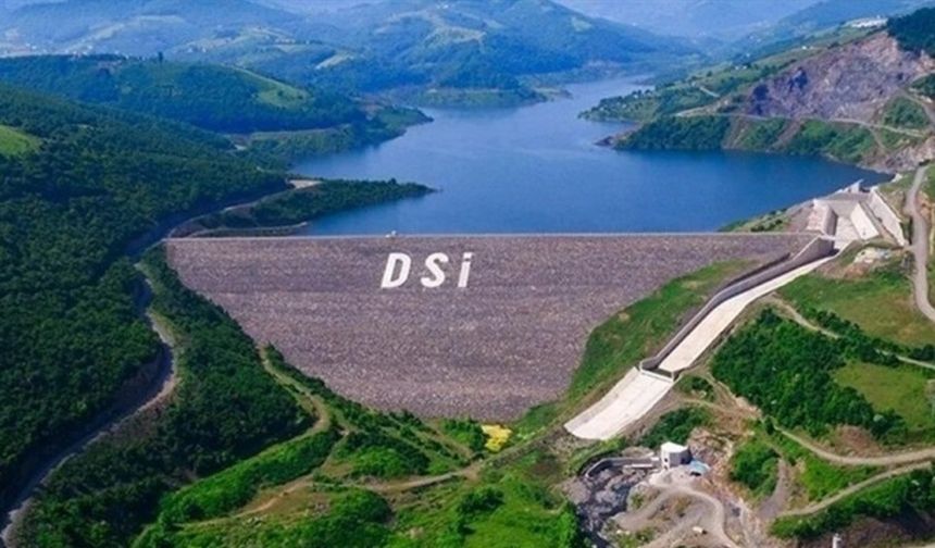 Cizre’de yapılacak baraj için 225 parselde 'acil kamulaştırma' kararı