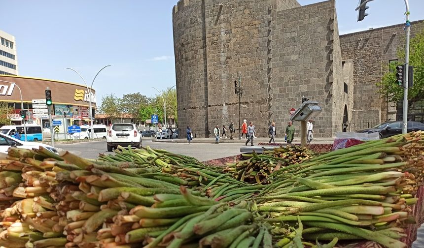 Ribes Diyarbakır Sur’da tezgahlarda yerini aldı