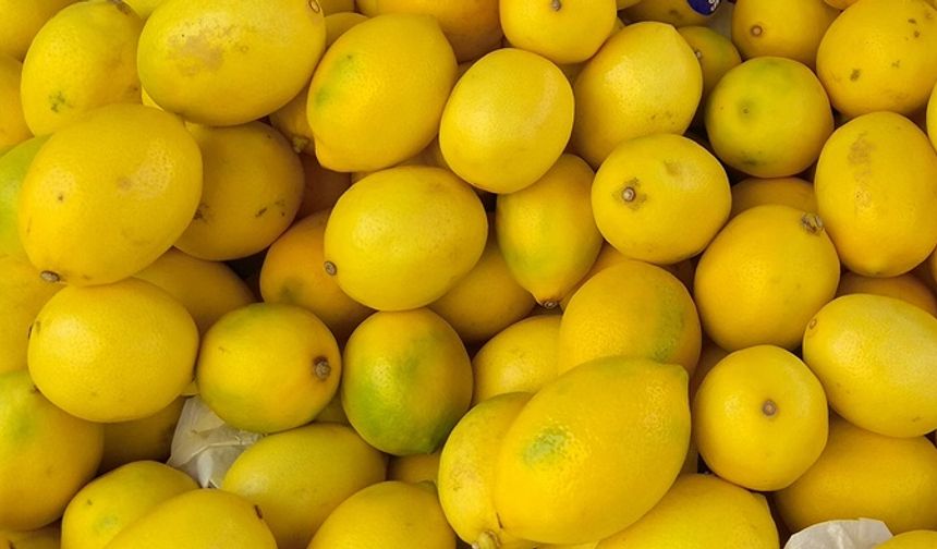 Diyarbakır’da limon fiyatları uçuşta: Kilosu 100 lirayı geçti