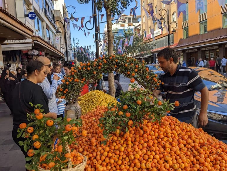 alıç nedir